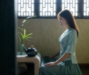 卵泡中医调理（卵泡中医调理多久见效）